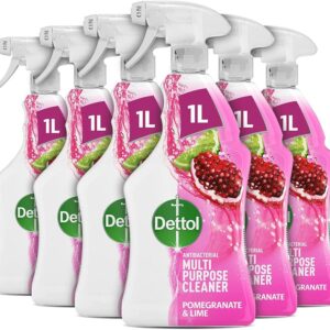 Dettol Power and Fresh Pomegranate Multi Purpose Cleaner 1L x6