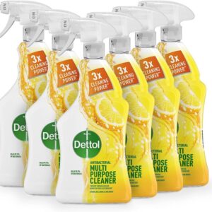 Dettol Power and Fresh Citrus Multi Purpose Cleaner 1l x6